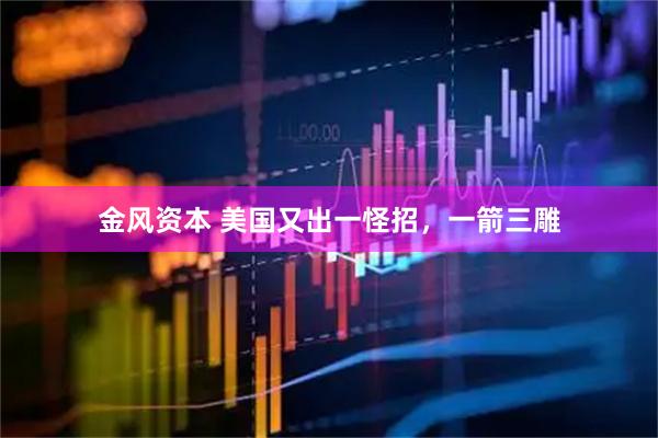 金风资本 美国又出一怪招，一箭三雕
