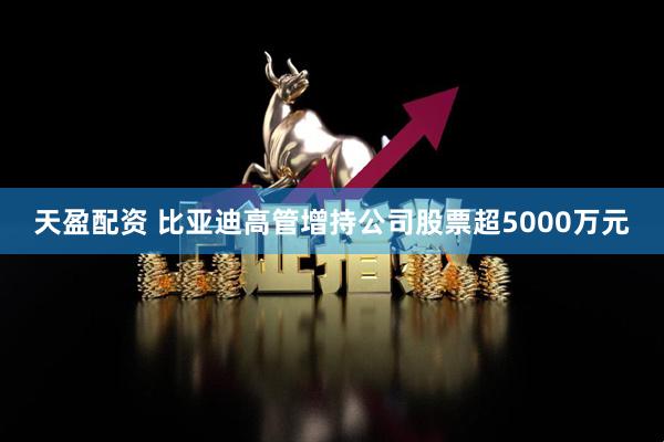 天盈配资 比亚迪高管增持公司股票超5000万元