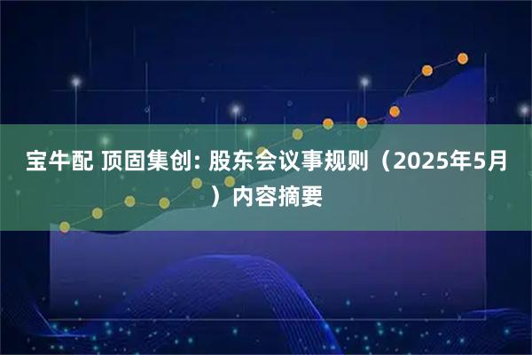 宝牛配 顶固集创: 股东会议事规则（2025年5月）内容摘要