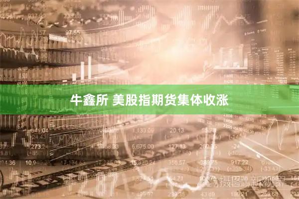 牛鑫所 美股指期货集体收涨