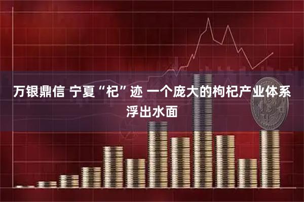 万银鼎信 宁夏“杞”迹 一个庞大的枸杞产业体系浮出水面